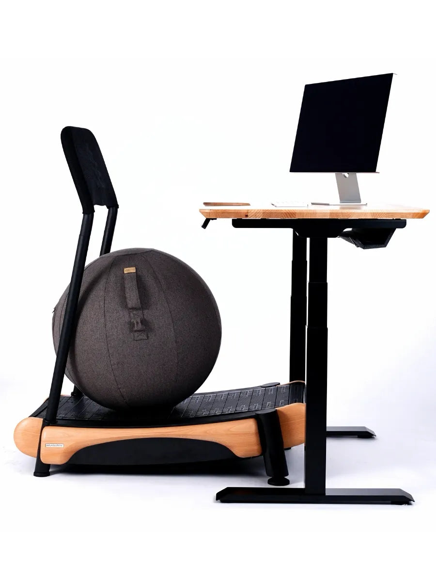 Walkolution Active Sitting Ball